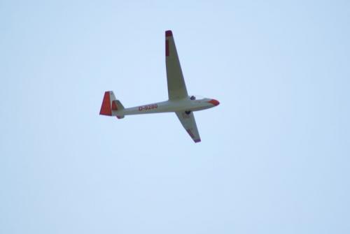 SONY DSC