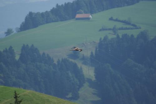 SONY DSC