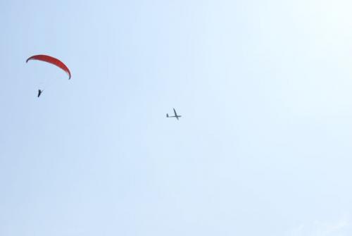 SONY DSC