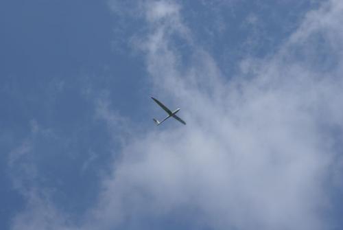 SONY DSC