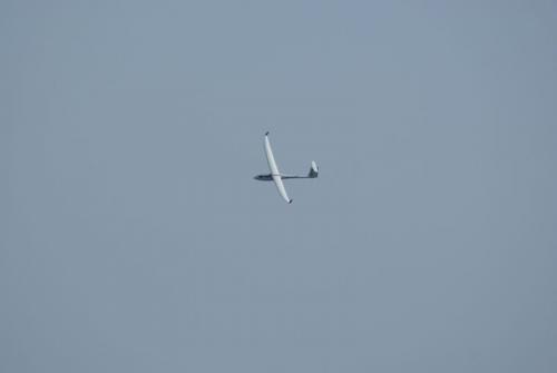SONY DSC