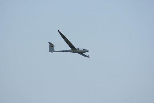 SONY DSC