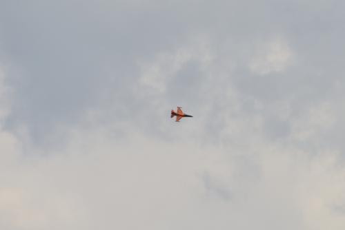 DSC 1546