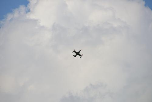 DSC 1593