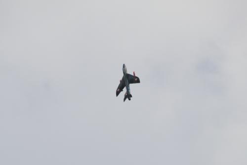 DSC 1619