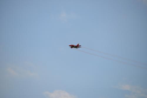 DSC 1742
