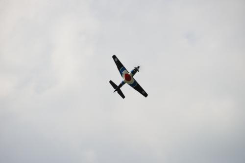 DSC 1854