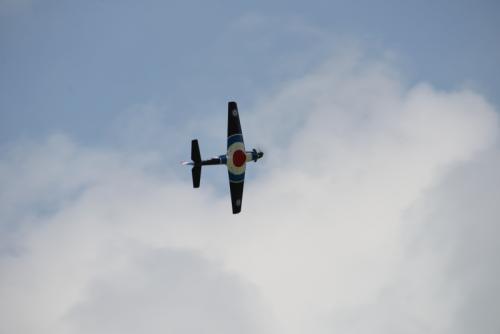 DSC 1856