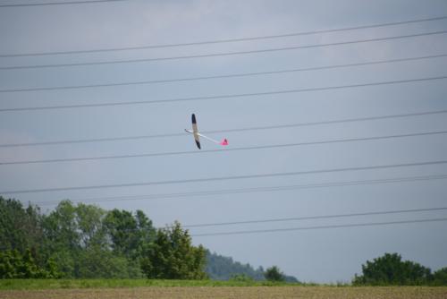 F5B-Pfaeffikon2014-33
