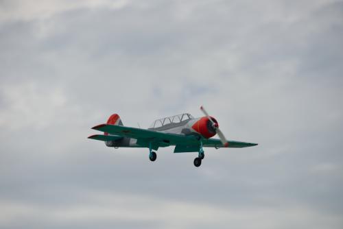 DSC 3157