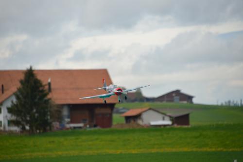 DSC 3159