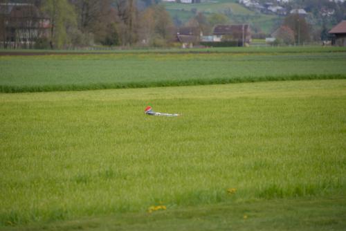 DSC 3187