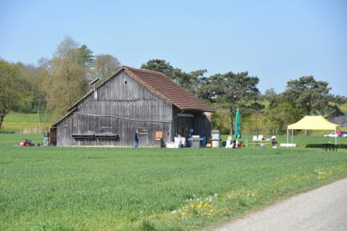 DSC 3365