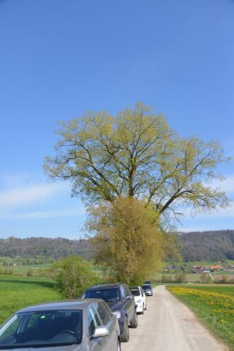 DSC 3366