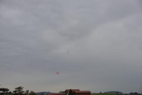 DSC 3507