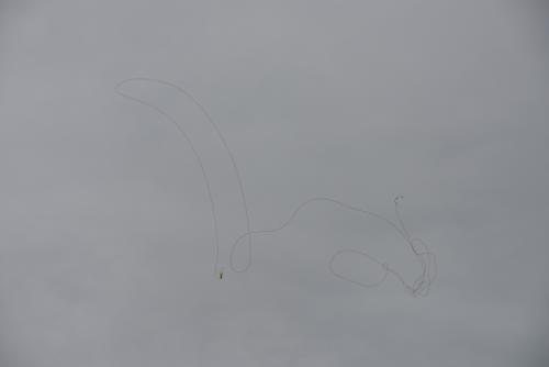 DSC 3513