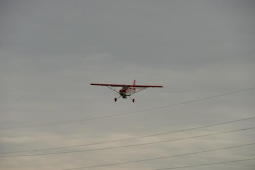 DSC 3515