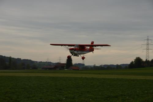 DSC 3517