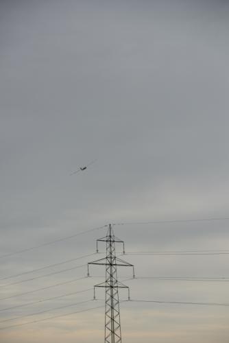 DSC 3520