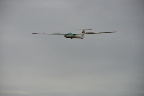 DSC 3523