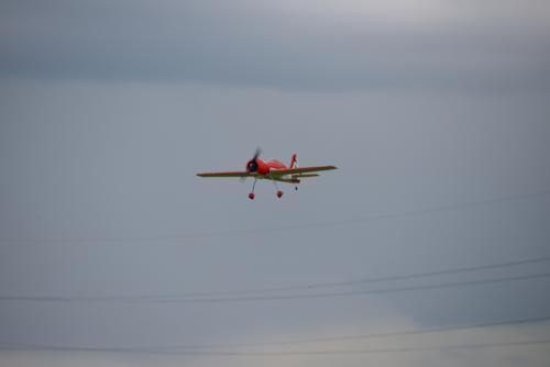 DSC 3728