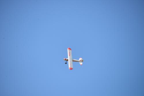 DSC 6375