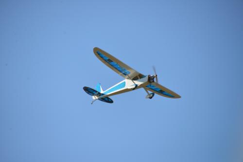 DSC 6407
