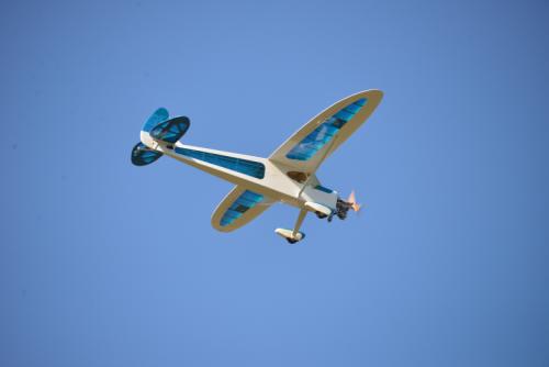 DSC 6408