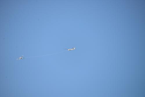 DSC 6461