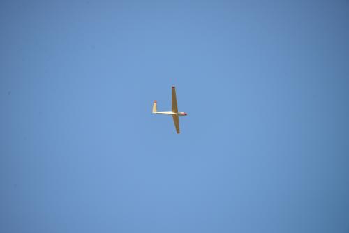 DSC 6465