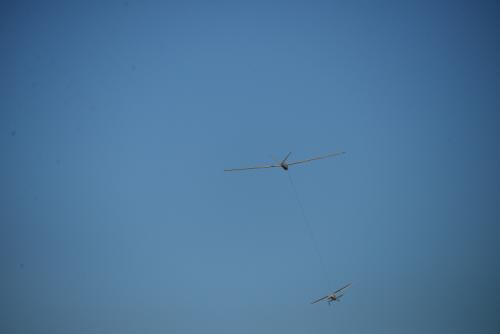 DSC 6519