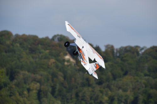 DSC 7504
